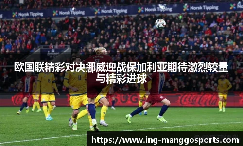 芒果体育官网入口