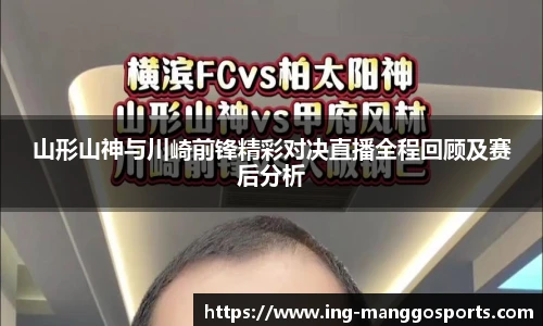 芒果体育官网入口