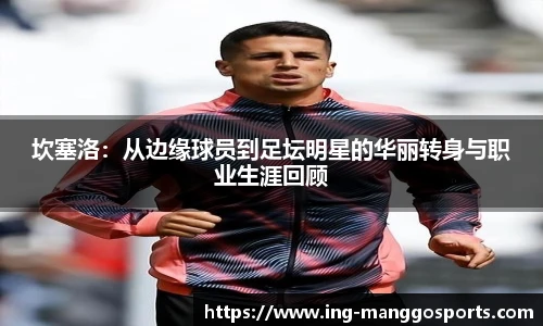 芒果体育官网入口